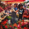 Madrona Farmers Market-flowers