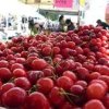 Maple Valley Farmers Market-tomato