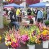 Port Orchard Farmers Market-flowers