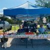 San Antonio Farmers Market Association-stalls
