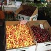 Magnolia Farmers Market-cherries