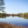 pleasure house point natural area virginia beach-tee
