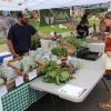 Camas Farmers Market-lettuce