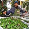 University District Farmers Market Wa-lettuce
