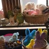 Stuff toys in Bremerton, Washington