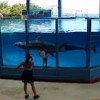 Sea Life Park Hawaii-tank