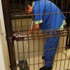 PetCare