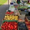 okanagan valley farmers market wa-fruits