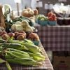 downtown Kennewick farmers market-corn