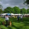Wallingford Farmers Market-stall