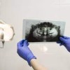 HillsView Dentistry, PC-Rapid City- tooth xray