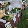 College Place Farmers and Artisan Market-vegetable