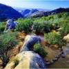 Mount Diablo State Park Travis AFB_ rock