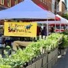Troy Farmers Market Arts and Crafts-berry patch