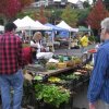 Port Orchard Farmers Market-radish