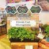 Bastrop 1832 Farmers Market-plants