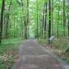 SARATOGA NATIONAL HISTORICAL PARK- victor woods