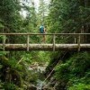 olympic national park-bridge