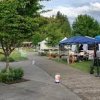 North Bend Farmers Market-stall