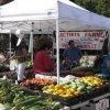 Maple Valley Farmers Market-zukini