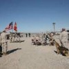 MCLB Barstow-dog