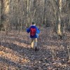 Julius J Knobeloch Woods Nature Preserve-hiking