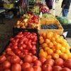 Orting Valley Farmers Market- tomato