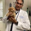 Animal Hospital in Fairfield- travis afb- doctor