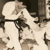 Shorinji Kempo Karate