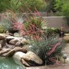 Urban Xeriscape Garden-water
