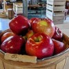 Braeutigam Orchards Scott AFB-apple