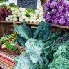 anacortes farmers market-kale