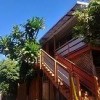 The Plumeria Hostel Alternative-stairs