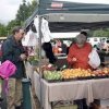 North Bend Farmers Market-shoppers
