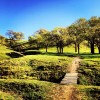 Peña Adobe Regional Park Travis AFB- bridge