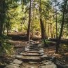 Tacoma Nature Center-JB Lewis-McChord-trail