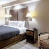Econo Lodge Kingsville-single bed