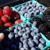 Phinney Farmers Market-berries
