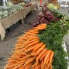 Northeast Washington Farmers Market Colville-carrots