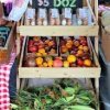 Pasco Farmers Market-eggs
