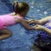 Aquatics Center- NB Bremerton- Kitsap- swimming lesson