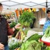 Whidbey Island Farmers Market-carrots