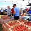 Stanwood Farmers Market-strawberry