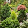 Albers Vista Botanical Garden in Bremerton Washington