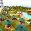 campuestohan
