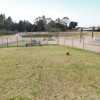 Dog Park-2 in Sasebo in Japan