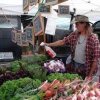 Snohomish Farmers Market-veg