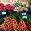 Prosser Farmers Market-vegetable