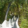 Bay Bluffs Park in Pensacola, Florida