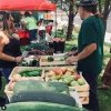 Hillyard Farmers Market-vendor and seller
